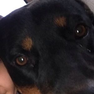 Meet your Posher, Angel